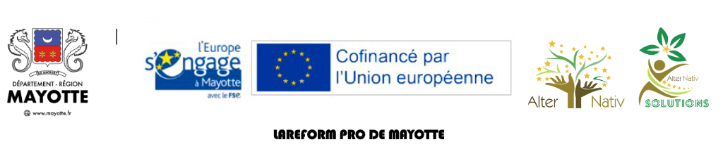 Cofinancé par l'Union Européenne – LaReform Pro de Mayotte – Département-Région Mayotte